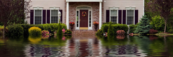 Flood Ways, Flood Fringes and Real Estate Professionals Thumbnail